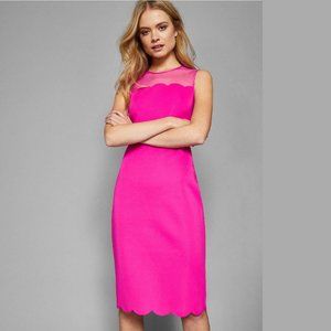 Ted Baker Clowva Scalloped Mesh Yoke Bodycon Dress